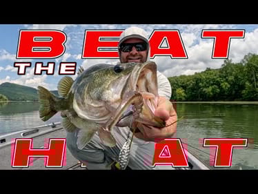Beat The Heat! Tips To Catch More Bass Around Grass This Summer!