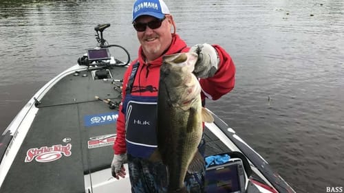 Swim Jig Fishing BASS DOMINATION! Mark Davis SECRETS