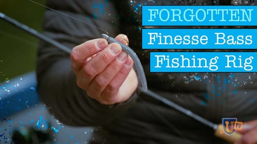 Stop LOSING BASS & Get MORE BITES