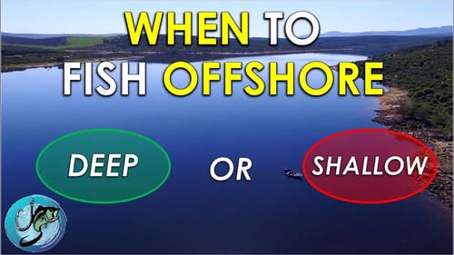 When to Fish Offshore After Bass Spawn | Summer Bass Fishing