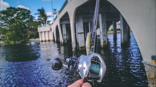 START CRUSHING YOUR BRIDGE FISHING GAME