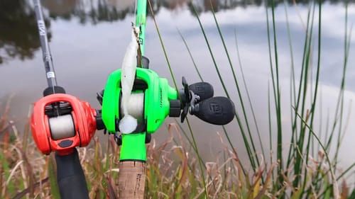 Unexpected RECORD Bass While Bank Fishing (HUGE FISH)
