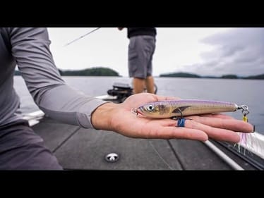 TOPWATER DIVISION 2: BLURRING THE LINES