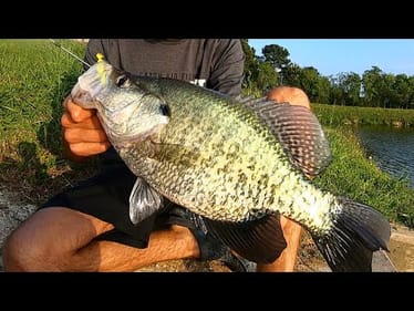 NEW CRAPPIE BAIT catches SLABS!!!