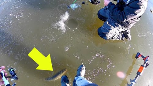 Surprise RARE Catch Fishing a City Pond!!!