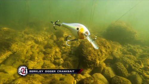 Berkley Digger Crankbait Underwater Video