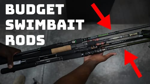 Best Big Swimbait Rods For Beginners Under $250!