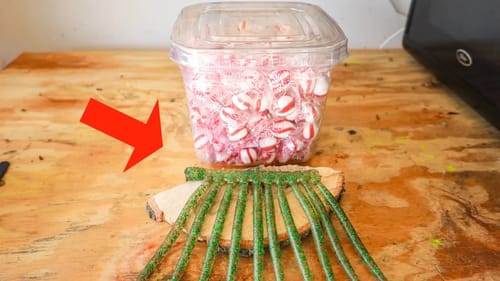 Making Fishing Lures out of PEPPERMINT