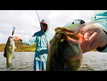 This MAGNUM Crankbait Might Just Be The Key To Catch Big Fish!! Our Go-To For Big Ones