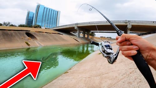 I Caught the KING OF THE URBAN CANAL!! (Homemade Bait)