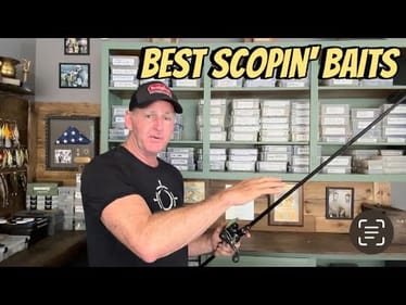My Top 5 Lures Livescopin’ Lures…
