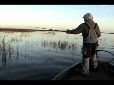 lake okeechobee, 1-22 6+lbs flipping, .75oz d&m custom baits punch skirt, beaver 001.avi