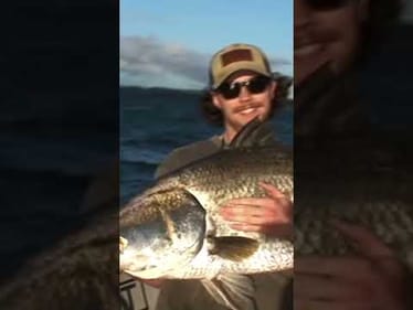 116 on the 6” CAST Prodigy #castfishingco #fishing #barramundi