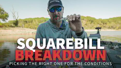 SQUAREBILL Crankbait Breakdown (Water Temps, Clarity & Colors)