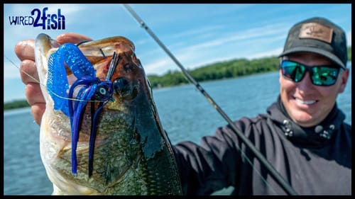 How to Choose the Best Bass Jig for the Situation