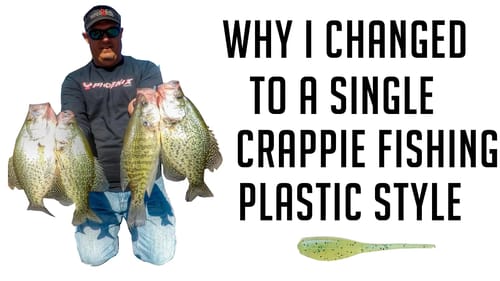 Why I Converted to a Shad Tail System for All My Crappie Fishing