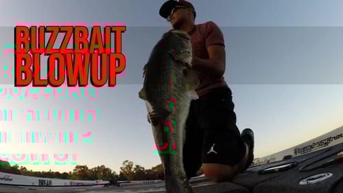7 Pound Bass Topwater Bite on a Double Buzzbait