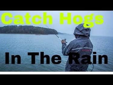 My Secrets For Catching Bass In The Rain