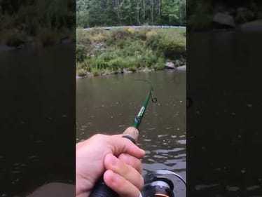 Follow Me for Tips and Tricks on How To Catch River Monsters ☠️