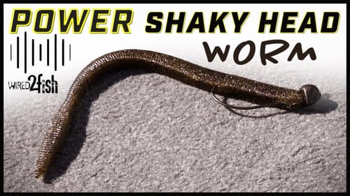 How to Power Fish a Shaky Head Worm for Bass