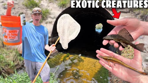 NETTING RARE CREATURES in HIDDEN TUNNEL! (HELP IDENTIFY THIS FISH)