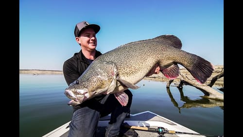 GIANT MURRAY COD - Cast Mag Goals Ep 8 - Daylight Giants