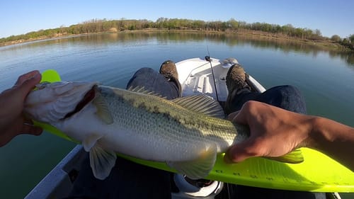 Post-Front Spring Bassin' (In Cameron's New Kayak!)