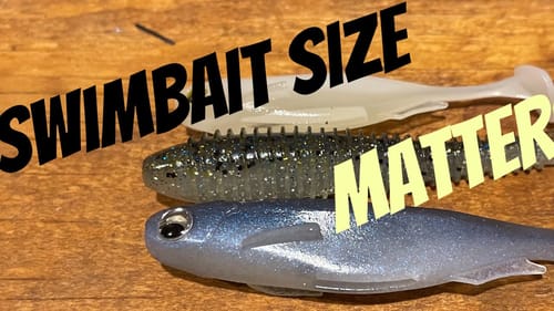 Easy Way To Pick The Right Swimbait Size (November-March)