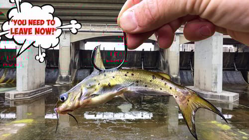 BANNED From My FAVORITE Spillway!!! (NOT GOOD)