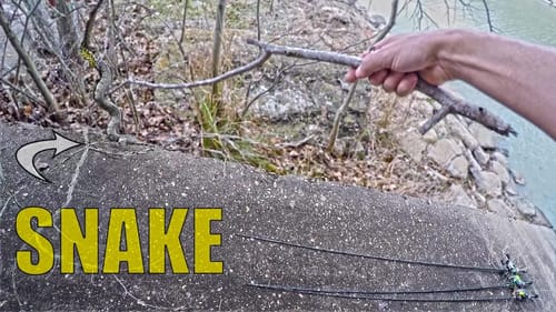 Bank Fishing with SNAKES!