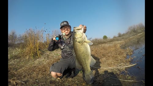 Bank Fishing for Prespawn Bass