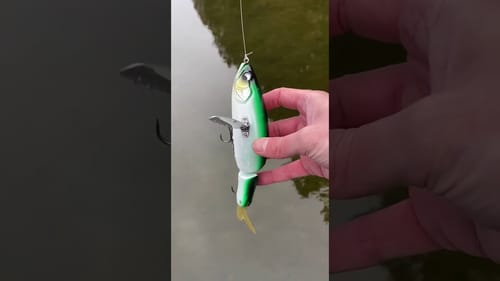 Swimbait Review: KRR Original Crawler