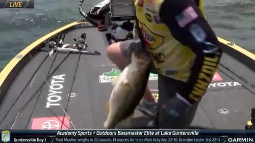 Matt Arey's big bass late on Day 3 at Guntersville