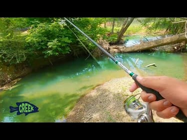 Is This the Best Creek Fishing?