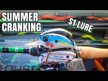 Summer Cranking ISN'T a SECRET (SEEK the Right Depth)