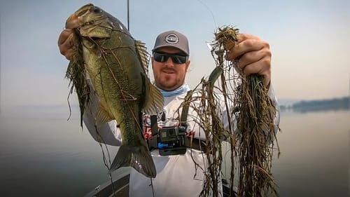 Matt's Back! Topwater Fishing For Big Bass!