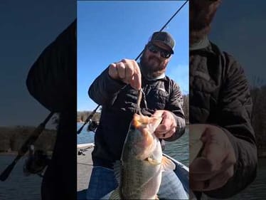 This Tiny Underspin Always Gets Bit! 🎣 #shorts