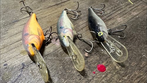 Why All Pro Anglers Still Use A Shad Rap Under THESE Conditions…