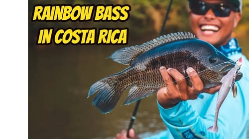 Rainbow Bass Fishing in Costa Rica