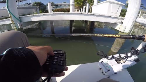 Wrestling Fish from the Docks