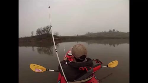 Bass Fishing in the Rain