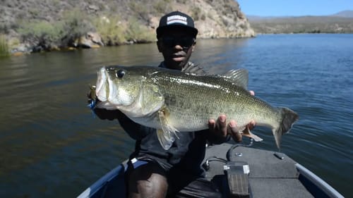 Fishing For Big Bass With Jigs In The Grass