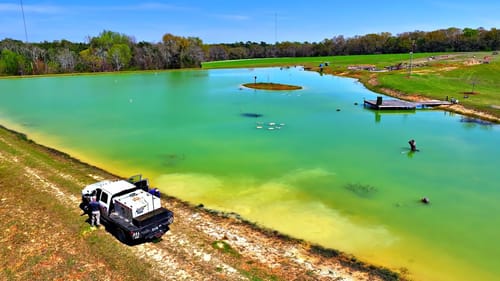 Adding 10,000 Fish to the 5 Acre Pond!