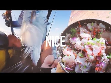 Almost Lost My Toes!!! Spanish Mackerel Ceviche!