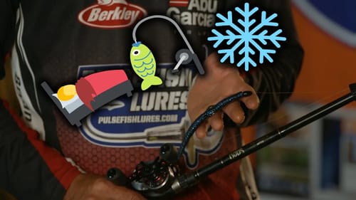 Bed Fishing for Bass in January & February