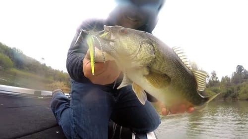Spring Fishing In The Rain