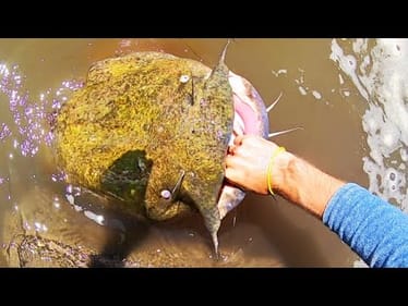 CATFISH of a LIFETIME!!! (on a LURE)