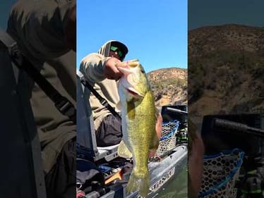 THIS UNDERSPIN IS CHEATING‼️#bass #bassfishing #bassproshops