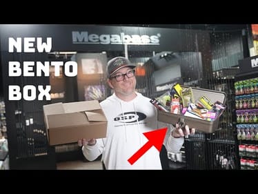 What's New This Week! Special New Bento Boxes Are Here!