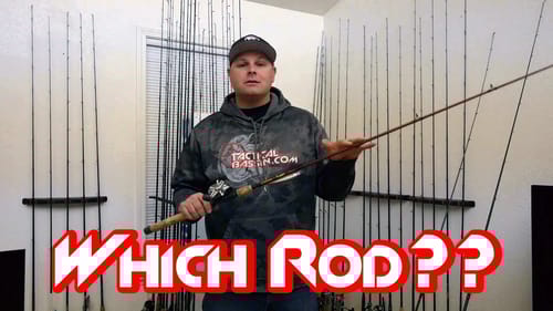 Best Fishing Rods for New Fisherman